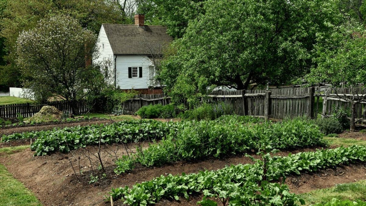 18 things you must master to succeed before you ever homestead 17 18 things you must master to succeed before you ever homestead - north Carolina homestead dp108007904