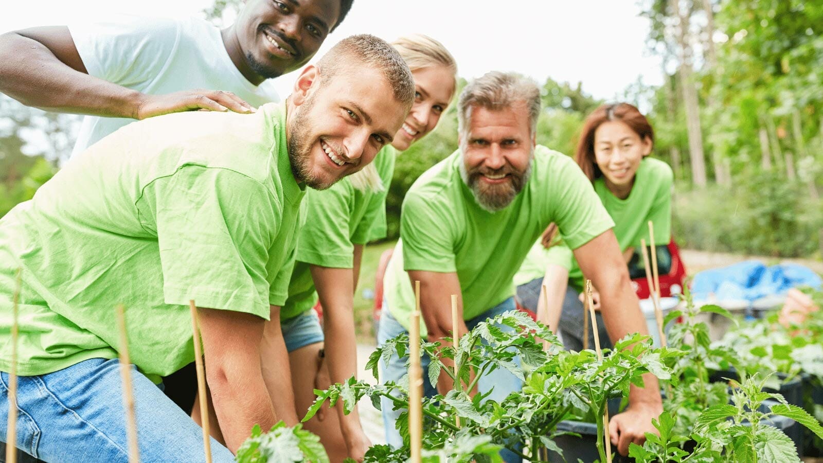 community garden