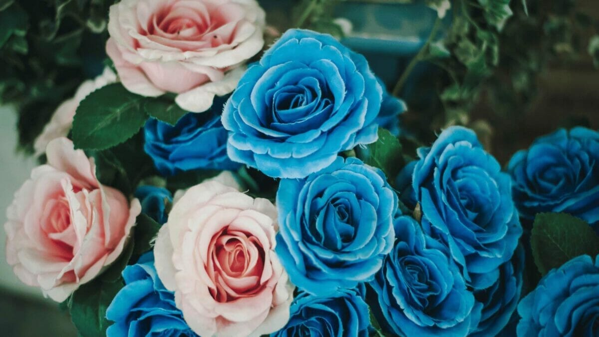 Blue Rose Meaning: Color + Symbolism Explained 6 blue roses mixed with other colors