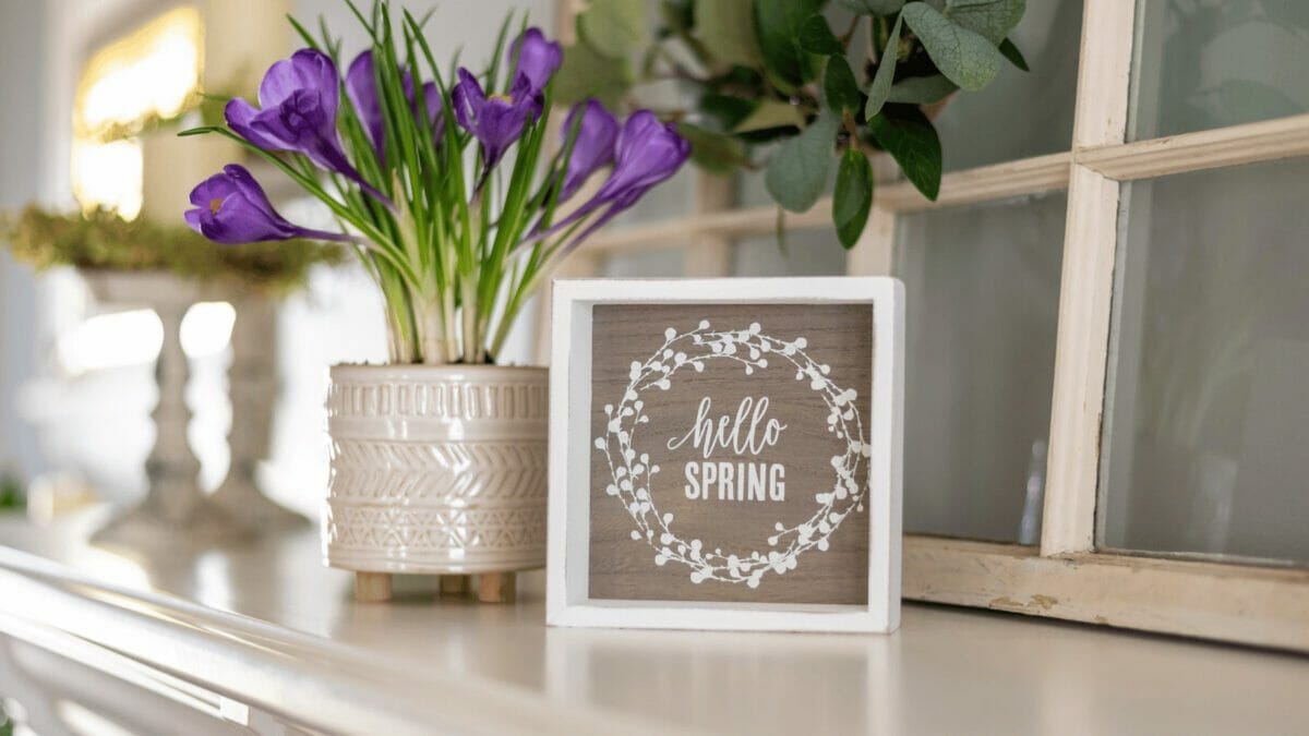 5 Simple Ways to Bring the Beauty of Spring into Your Home 3 spring houseplant