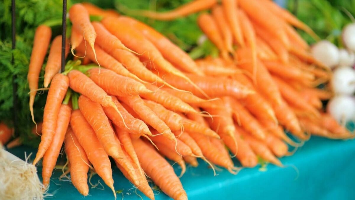 Are Carrots Man-Made? Unearthing the Roots of Carrot Evolution 6 carrots at the market