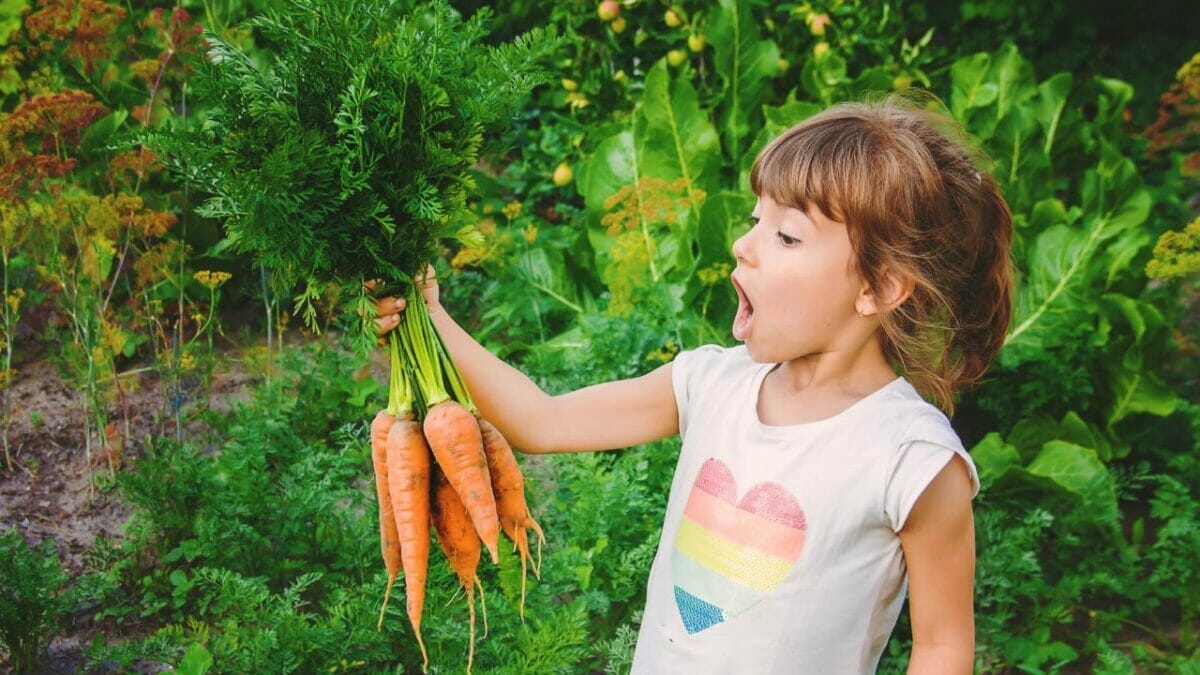 Are Carrots Man-Made? Unearthing the Roots of Carrot Evolution 2 child shocked by naturally grow carrots