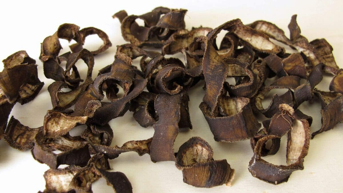 Homemade Fertilizer for Pothos: DIY Options for Thriving Plants 9 dried banana to use as fertilizer