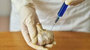 Is Garlic Man-Made? Unraveling the Mystery Behind the Origins of Garlic 1 garlic being man made