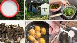 Homemade Fertilizer for Pothos: DIY Options for Thriving Plants 1 natural homemade fertilizer for pothos plants in group