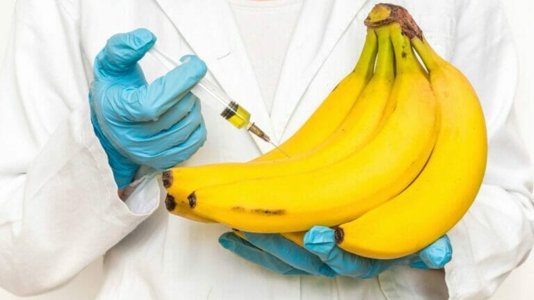 Are Bananas Man Made: This Will Make You Go Bananas 8 man made banana