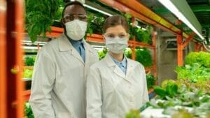 Is Spinach Man Made or Mother Nature's Creation? 1 exploring man made spinach