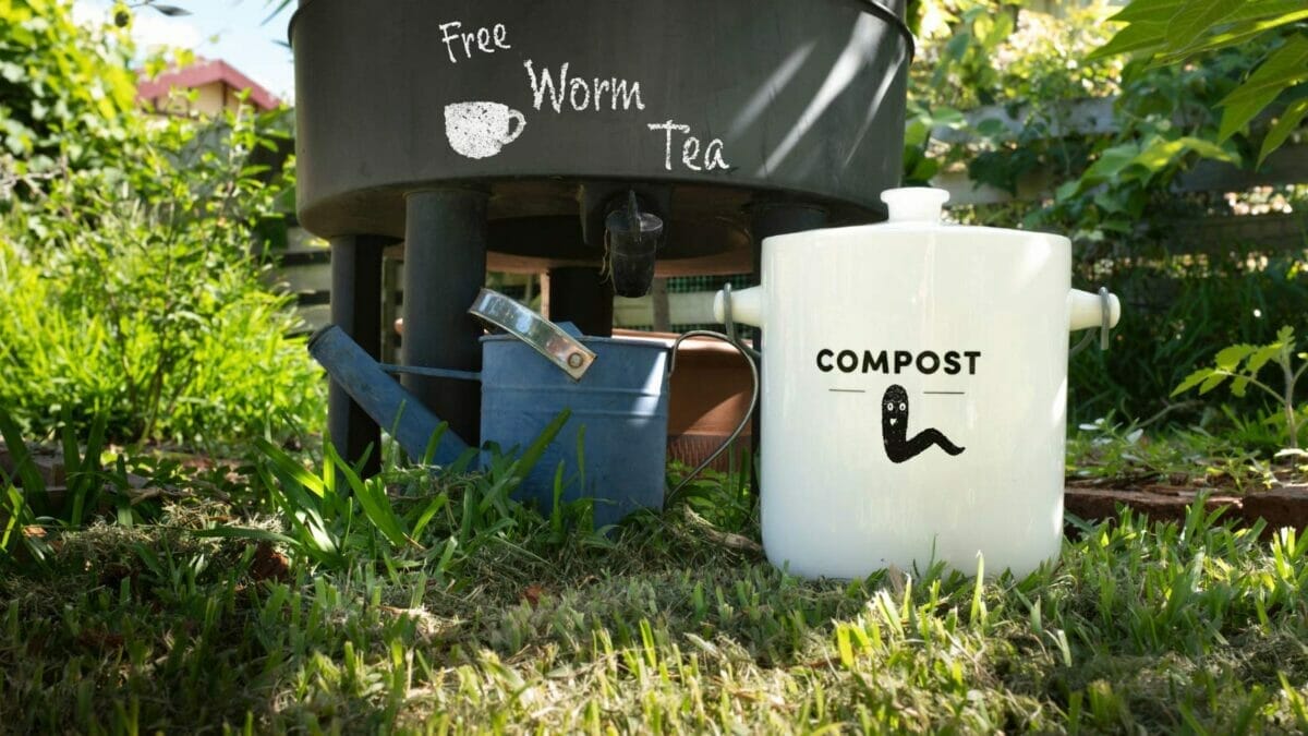 Homemade Fertilizer for Pothos: DIY Options for Thriving Plants 4 worm tea used for pothos diy fertilizer