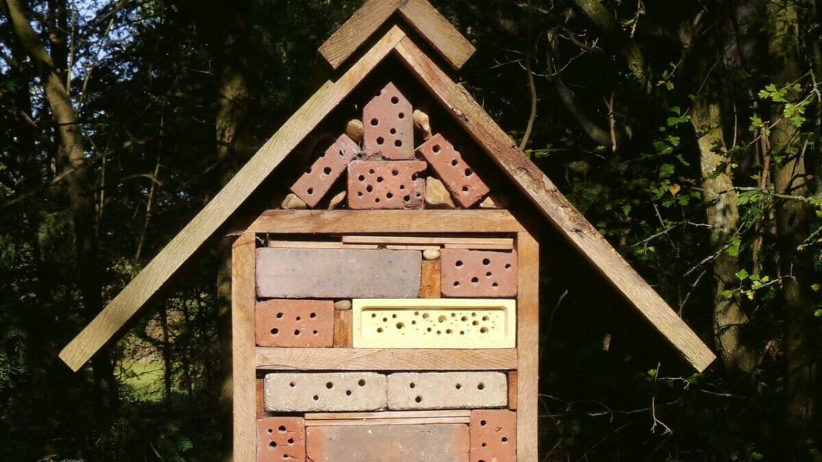 Bee Bricks are Building a Buzz: Genius, or Worst Idea Ever? 3 Bee bricks in insect hotel