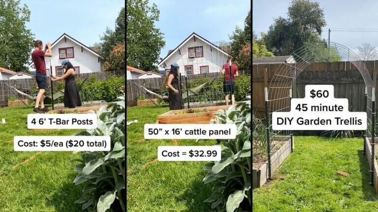 Transform Your Garden in Under an Hour: This Couple's $60 DIY Trellis 1 stages of diy garden trellis project