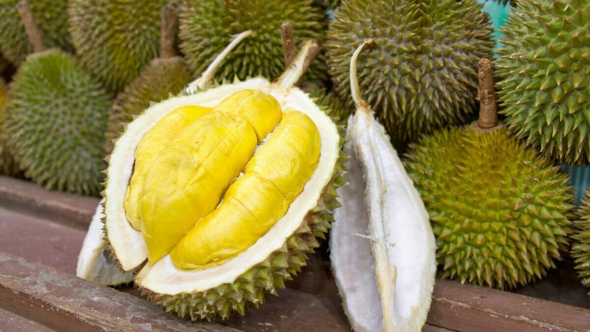 15 Beautiful but Smelly Plants That Could Be Stinking Up Your Yard 15 15 Beautiful but Smelly Plants That Could Be Stinking Up Your Yard - durian fruit dp3867259
