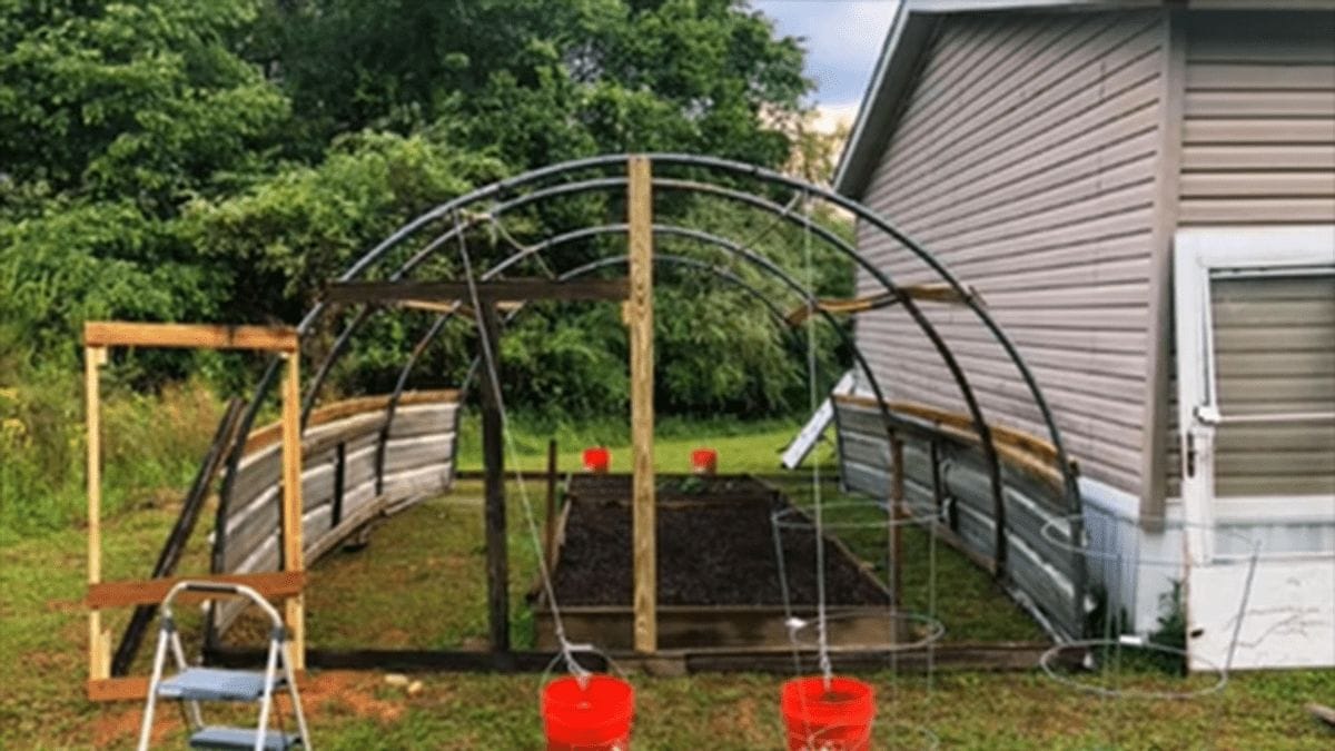 This Couple Turned Scrap Trampolines Into a Mind-Blowing DIY Cheap Greenhouse! 3 This Couple Turned Scrap Trampolines Into a Mind-Blowing DIY Cheap Greenhouse! - image 1
