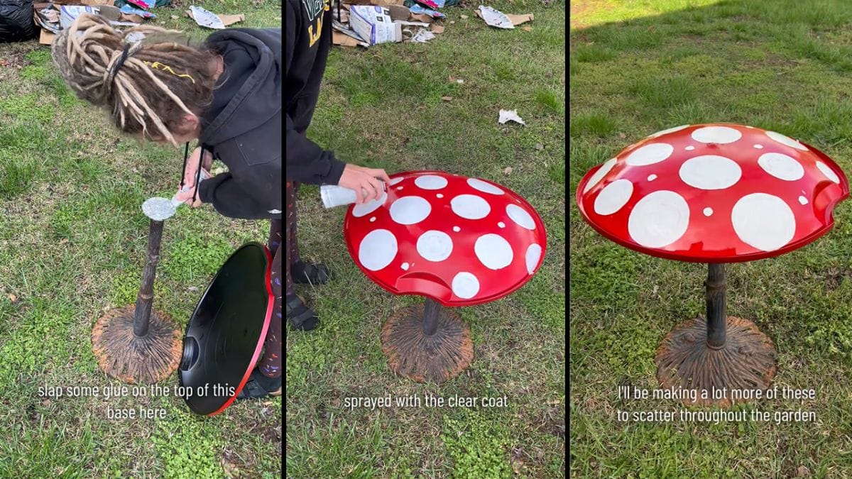 Upcycling Genius: Woman Transforms Discarded Sled Into a Gorgeous Garden Sculpture 3 Upcycling Genius: Woman Transforms Discarded Sled Into a Gorgeous Garden Sculpture - image 27