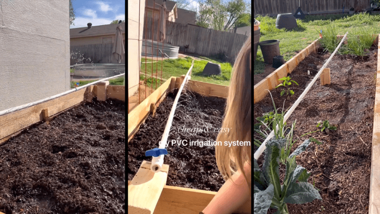 Woman Shares Her $50 DIY Irrigation System Using PVC: Garden Growth Hack 8 diy irrigation system