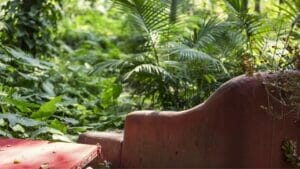 Woman Flips Roadside Couch Into a Stunning Masterpiece 1 Abandoned couch