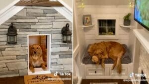 Fur Dad Transforms Unused Closet Into a Luxurious Dog Haven With Television 1 Fur Dad Transforms Unused Closet Into a Luxurious Dog Haven With Television - doghouse