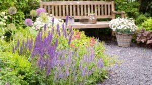 Garden Designer Reveals How to Create the Perfect Garden & Avoid Rookie Mistakes 1 garden design