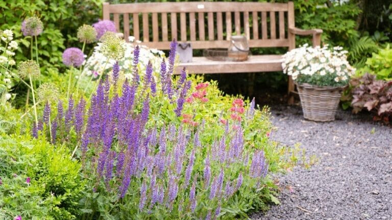 Garden Designer Reveals How to Create the Perfect Garden & Avoid Rookie Mistakes 4 garden design