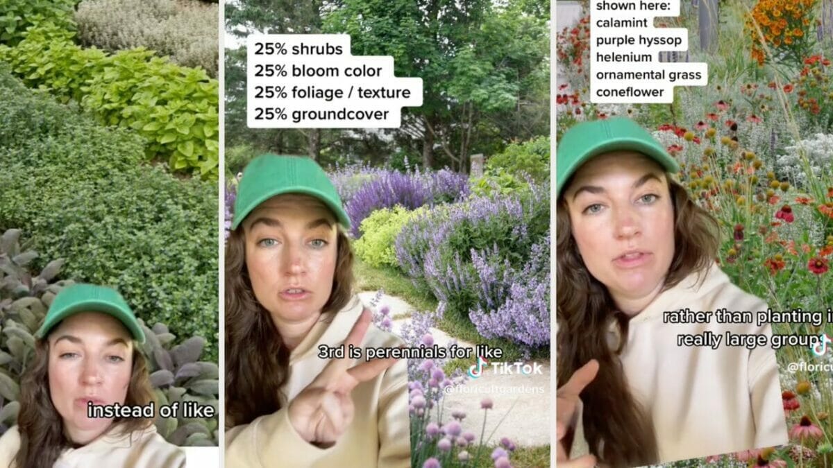 Garden Designer Reveals How to Create the Perfect Garden & Avoid Rookie Mistakes 2 garden planting designer