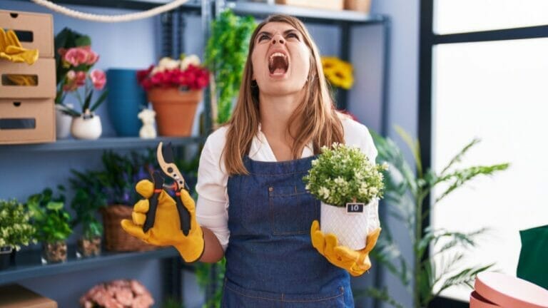 Plant Pro Speaks Up: Gimmicky Self-Watering Pots Are Ruining The Houseplant Hobby 6 Plant Pro Speaks Up: Gimmicky Self-Watering Pots Are Ruining The Houseplant Hobby - houseplant angry ss2262432127