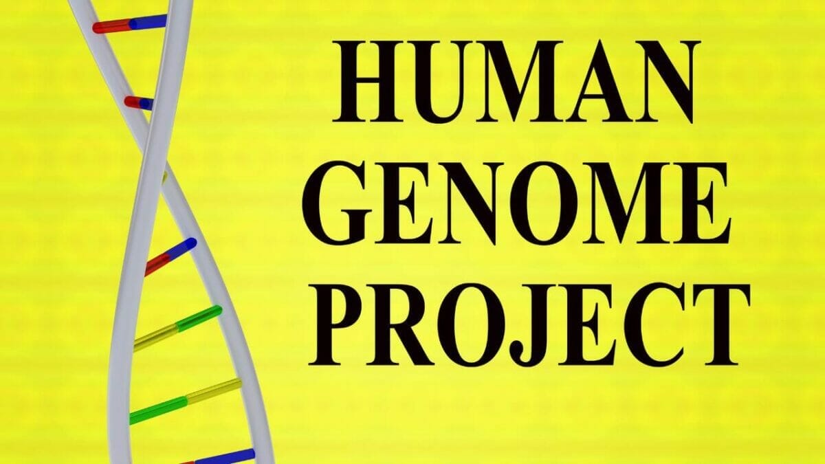 This Fruit Has More Genes Than Humans: It's Oddly True 2 human genome project