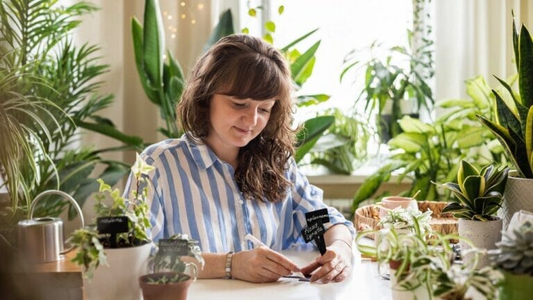 woman houseplant statistics