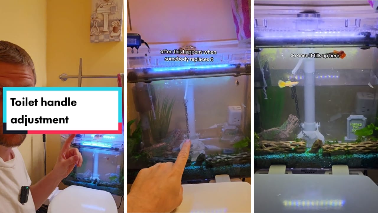 Easy Fix for a Weak Toilet Flush: Adjusting the Chain Length 7 easy fix for toilet weak flush