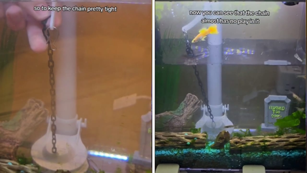 Easy Fix for a Weak Toilet Flush: Adjusting the Chain Length 5 adjusting chain on a weak flushing toilet