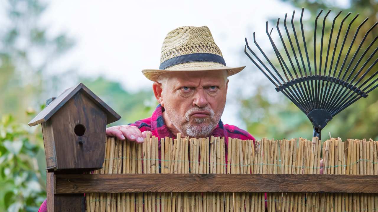 Caught Green-Handed: The Hilarious Way One Gardener Fought Back Against Plant Thieves 4 angry gardener