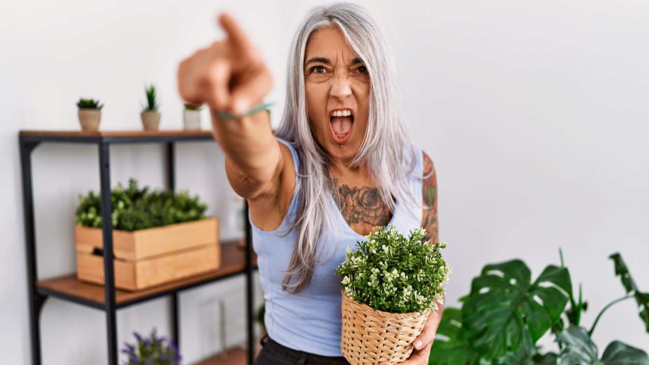 Caught Green-Handed: The Hilarious Way One Gardener Fought Back Against Plant Thieves 6 angry plant owner