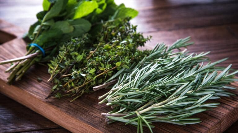 7 Popular Green Herbs: What They Are & How to Use Them 3 bunches of green herbs