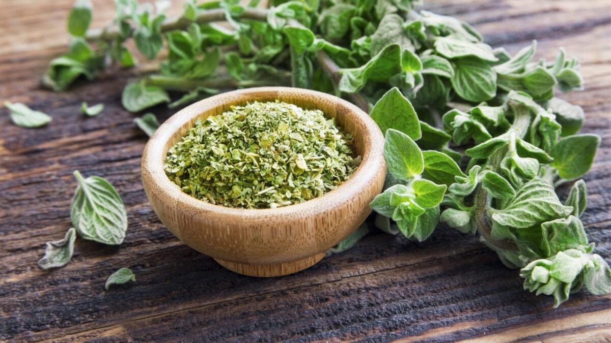 18 DIY Chicken Feed Ideas to Boost Egg Nutrition — No Store-Bought Feed Needed - oregano herb ss572548042