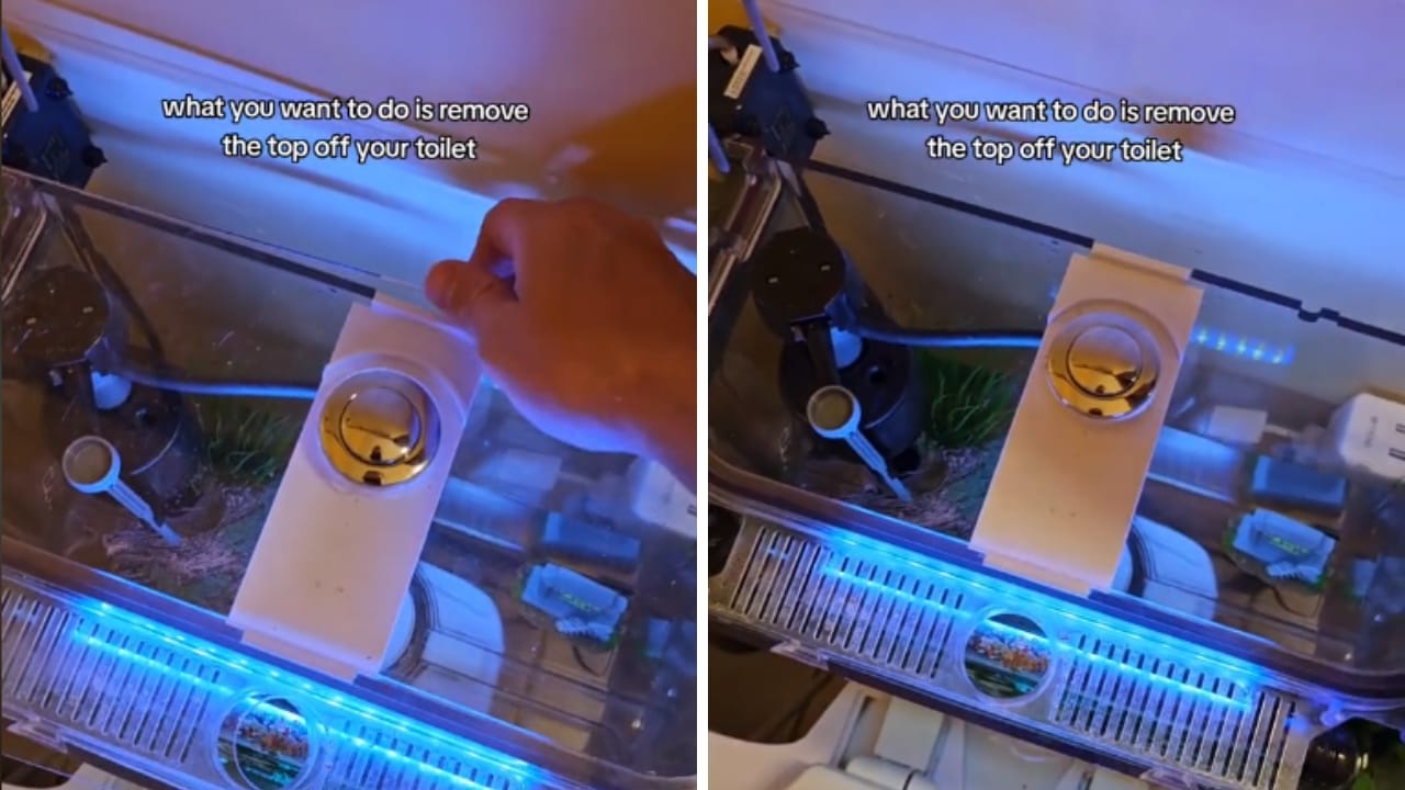 Easy Fix for a Weak Toilet Flush: Adjusting the Chain Length 3 looking at toilet valve