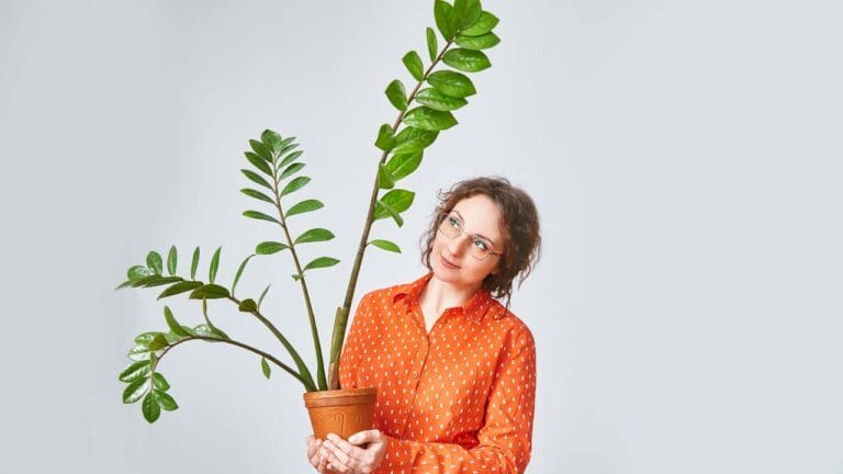 woman wondering if zz plant causes cancer