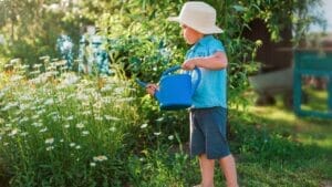 10 Best Chamomile Companion Plants & 3 You Should Avoid 1 Chamomile Plants