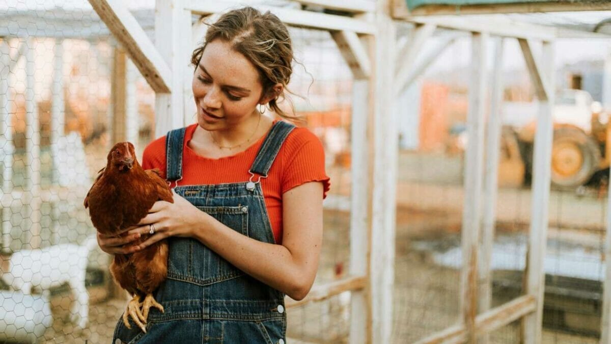 woman giving chicken care tips