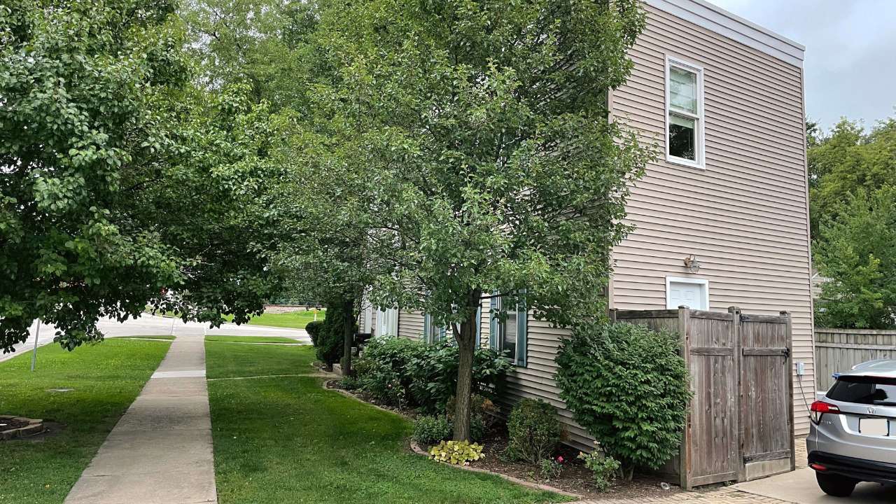 The Famous Illinois 3 Foot Wide House aka "Pie House" 3 pie house