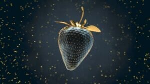 black strawberry closeup