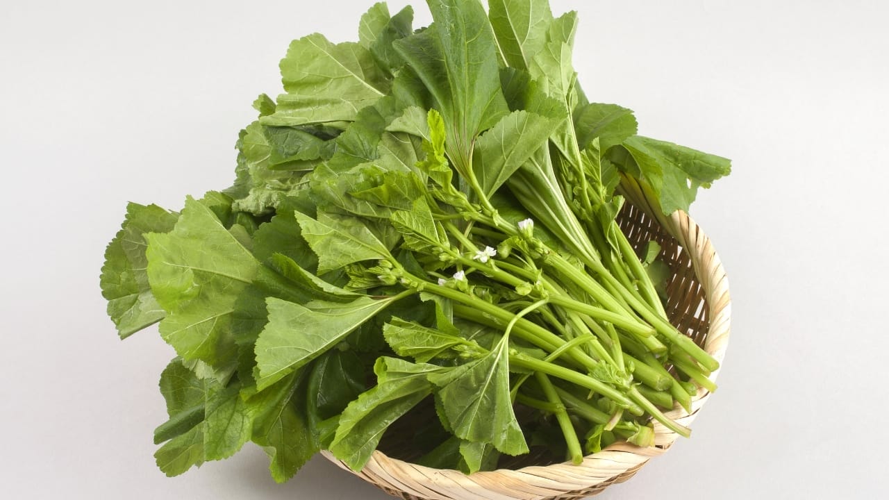 The Overlooked Edible - Bringing Mallow from Garden to Table 5 harvested mallow