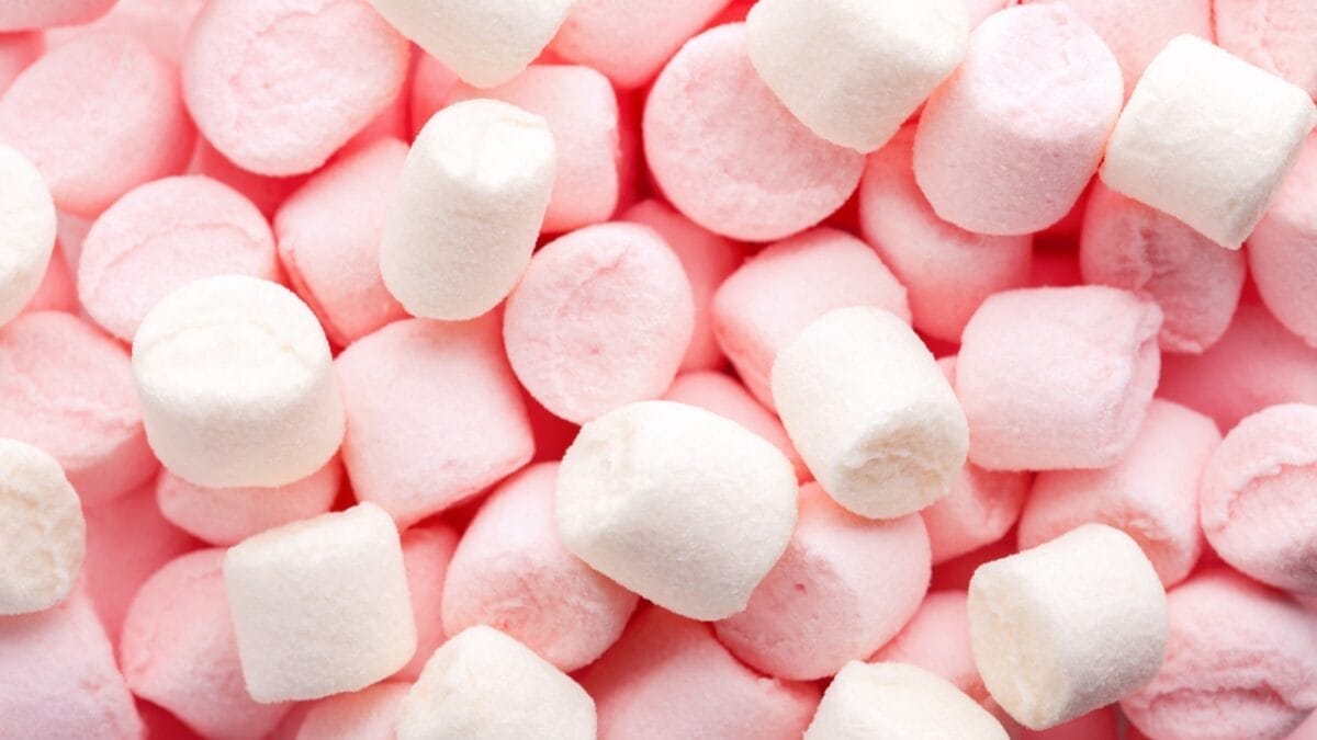 10 Ways to Drive Moles Out of Your Yard for Good 2 10 Ways to Drive Moles Out of Your Yard for Good - marshmallows s2280669205