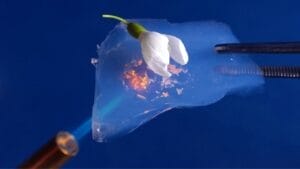 MIT's Breakthrough: Cooling Homes Without Electricity 1 MIT's Breakthrough: Cooling Homes Without Electricity - aerogel s1615919617