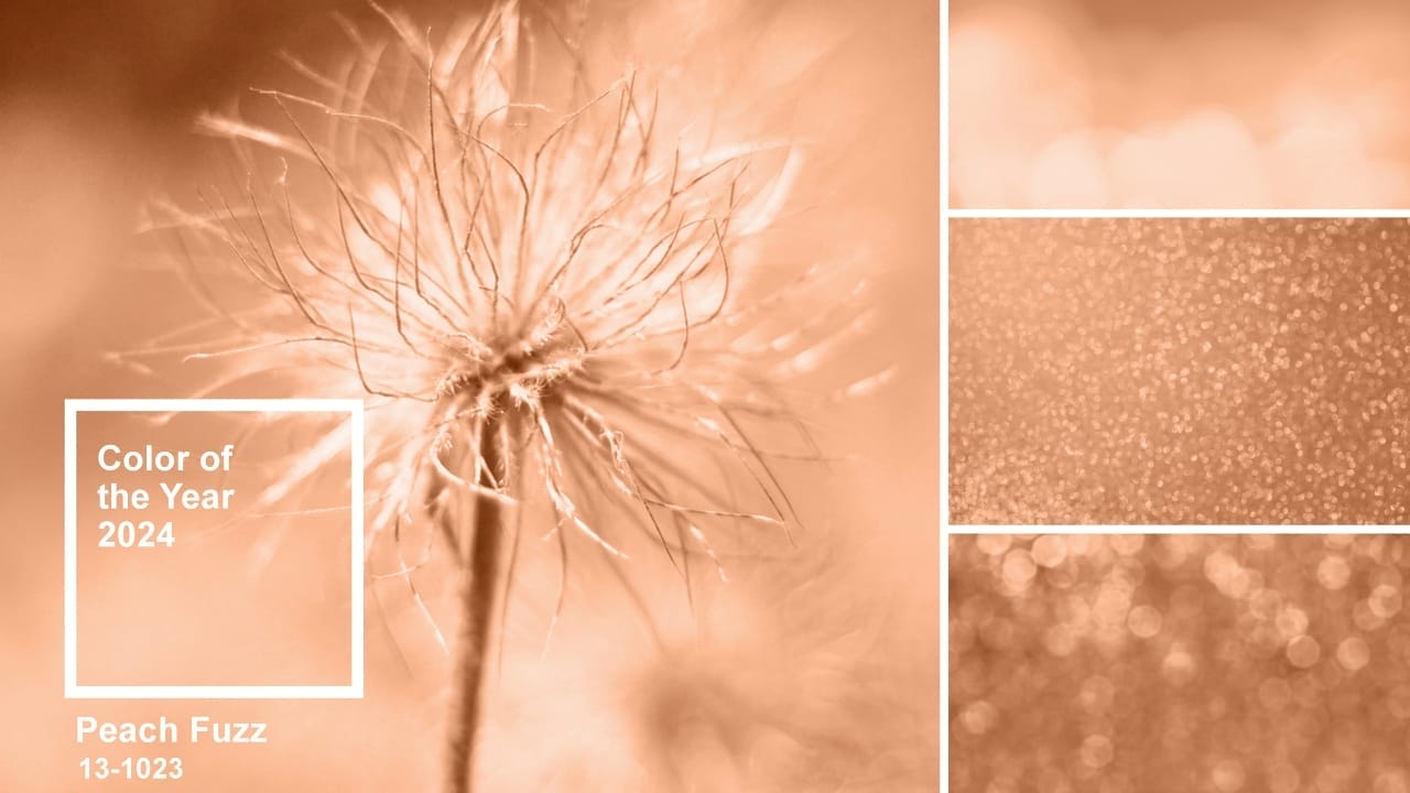 Peach Fuzz Is the 2024 Color of the Year & How Pantone Revolutionized the World of Color 2 Peach Fuzz Is the 2024 Color of the Year & How Pantone Revolutionized the World of Color - peach fuzz s2398195597