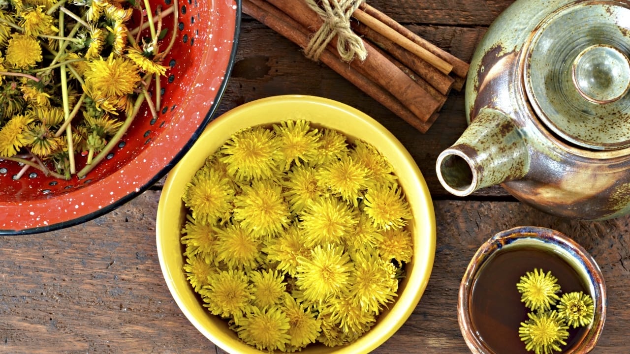 7 Reasons to Rethink the Narrative of Invasive Plants 10 7 Reasons to Rethink the Narrative of Invasive Plants - dandelion tea s467757485