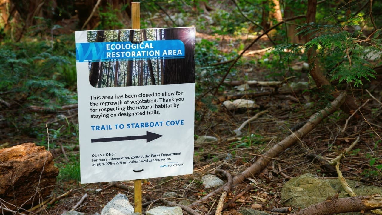 7 Reasons to Rethink the Narrative of Invasive Plants 11 7 Reasons to Rethink the Narrative of Invasive Plants - ecological restoration s2345509887