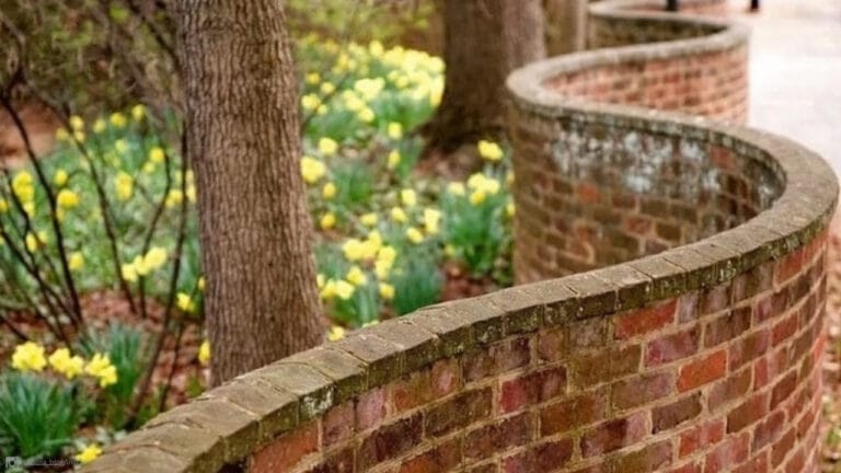 Curves with a Purpose: The Untold Story & Brilliance of Crinkle Crankle Walls 5 Curves with a Purpose: The Untold Story & Brilliance of Crinkle Crankle Walls - latabla blog insta