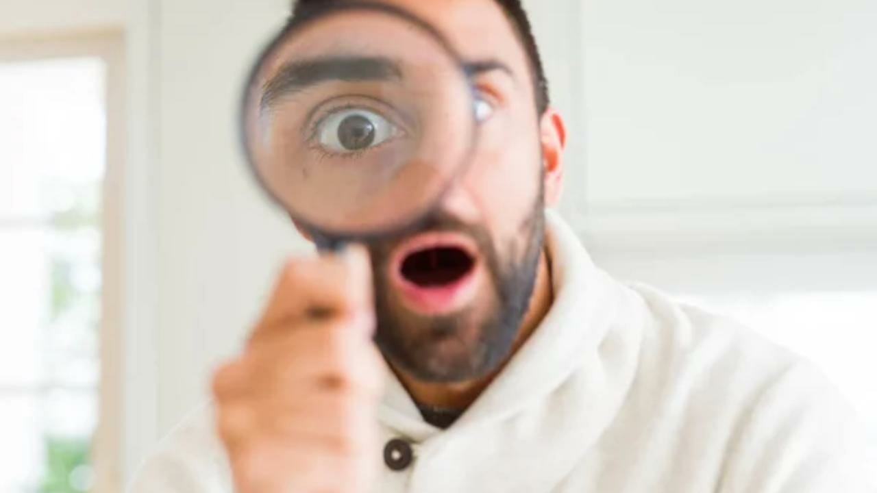 The Secrets of Kale Companion Planting: Boost Your Garden's Health & Harvest 7 The Secrets of Kale Companion Planting: Boost Your Garden's Health & Harvest - sources 1 2