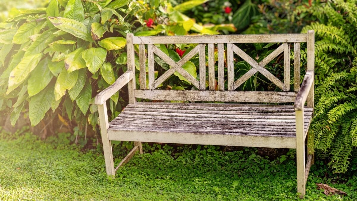 20 Things to Cleanup For Your Garden’s Fresh Start 3 20 Things to Cleanup For Your Garden’s Fresh Start - Garden Furniture dp300996198