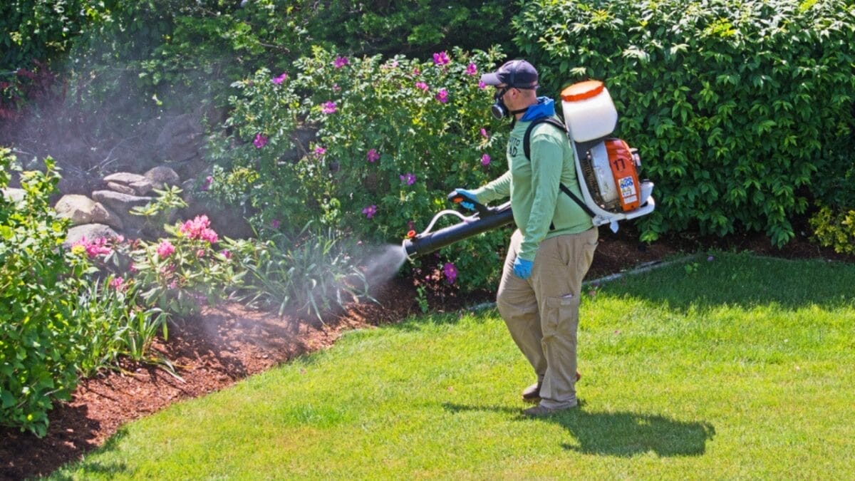 Bat Houses Could Be the Mosquito Solution You Never Knew You Needed, According to Researchers 4 Bat Houses Could Be the Mosquito Solution You Never Knew You Needed, According to Researchers - Mosquito Control ss1116202784 2