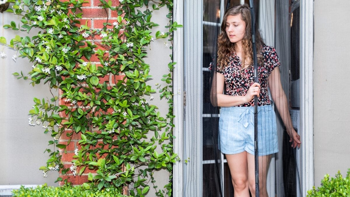 This Easy, Low-Cost Bucket Trap Method Obliterates Mosquitoes 3 This Easy, Low-Cost Bucket Trap Method Obliterates Mosquitoes - Mosquitoe ss1094081864