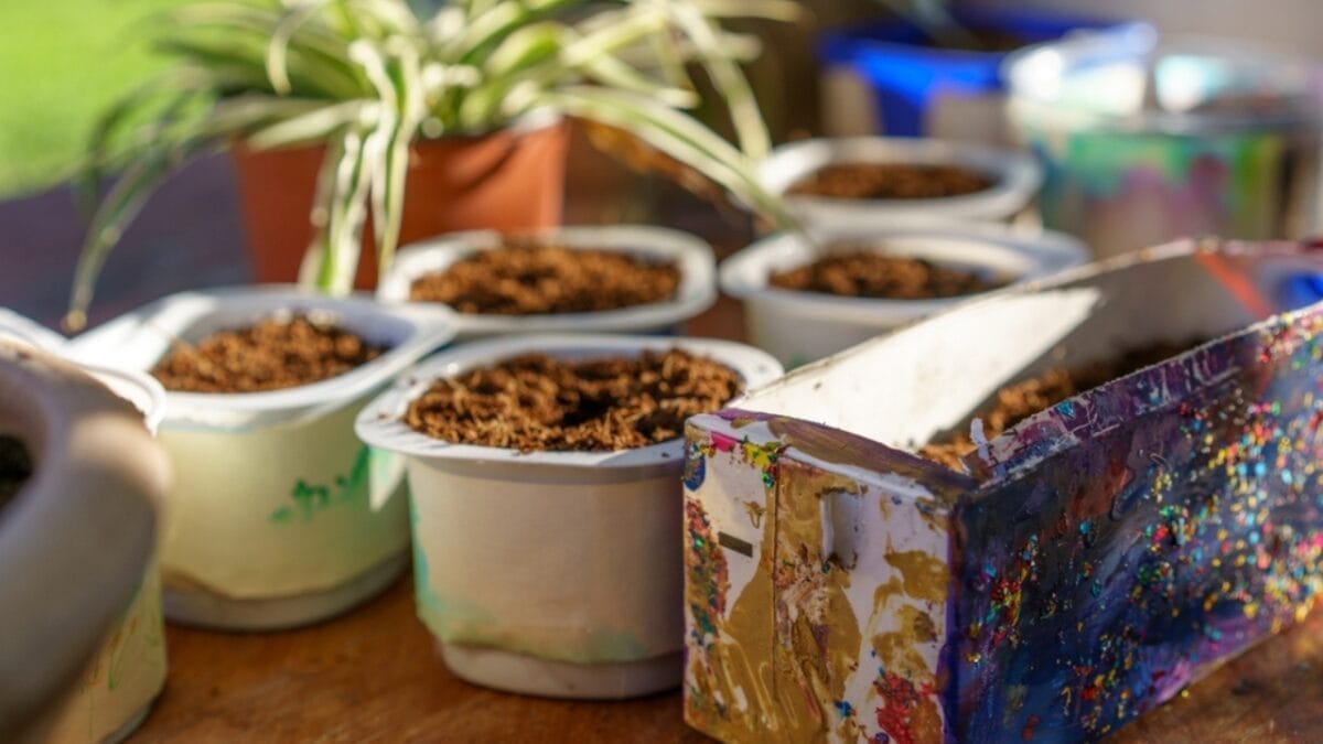 10 Tips for Beginners: Container Gardening 2 10 Tips for Beginners: Container Gardening - Yogurt Tubs And Milk Carton ss2264072973